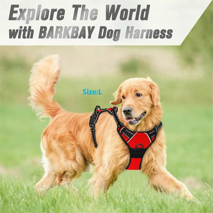 Coleiras de Cachorro Guias Grandes Coletes Loja de Animais Tudo para Cães Acessórios de Couro para Filhotes Médio Pequeno Kit