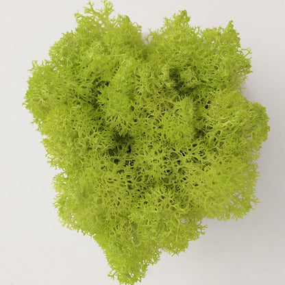 200/1000g Quality Artificial Green Plant Eternal Life Moss Fake Flower Moss Grass Home Living Decorative Wall DIY Micro Landscap