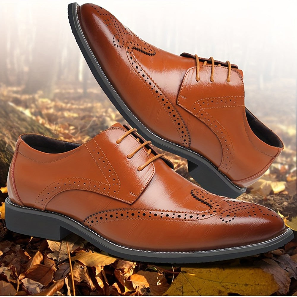 Men's Business Dress Shoes Pointed Toe Lace-Up Oxfords (Large Sizes Available)