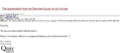 Japanese SKD-11 Damascus Steel Multifunctional Gyuto Chef Kiritsuke Knife With Wood Handle Super Sharp Long Lasting