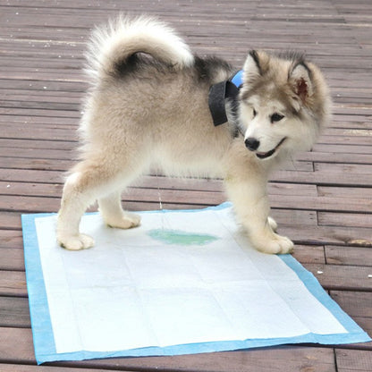 Winter Super Absorbent Pet Diaper Dog Training Pee Pads Disposable Healthy Nappy Mat For Cats Dog Diapers Cage Mat Pet Supplies