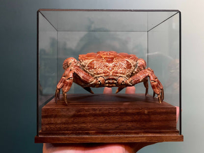 Espécime de caranguejo real Demania Baccalipes, artesanato especial, colecionadores, decoração de casa, ornamento de mesa, personalizado