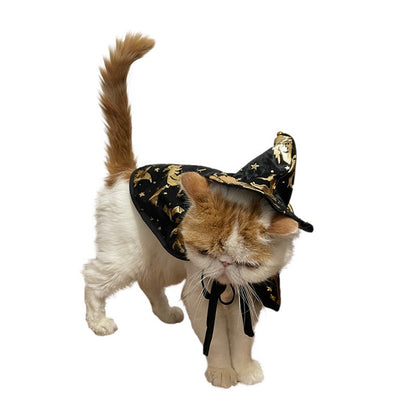 Nova Capa de Bruxa de Halloween, Capa de Gato Mago, Capa para Pets, Fantasia de Festival, Fantasia de Transformação
