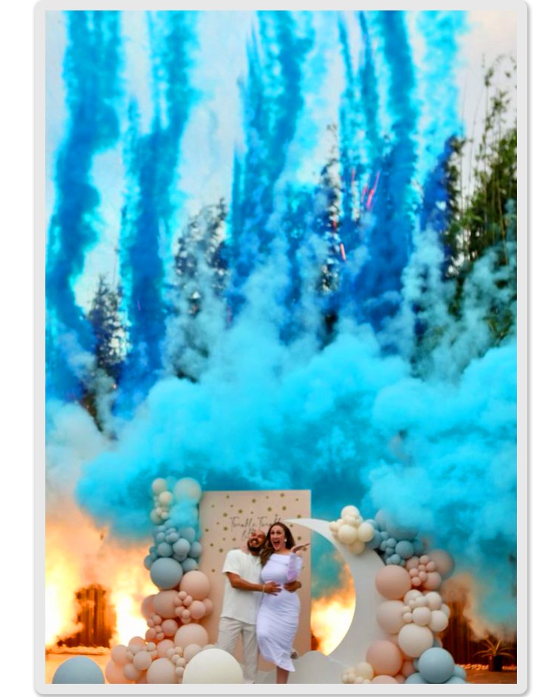 Tnt Gender Reveal Machine Kit Baby Smoke Decoration Supplies Celebration Ideas Backdrop Background Memories Pyrotechnic Items FX