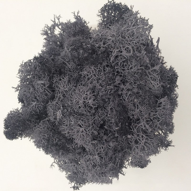 200/1000g Quality Artificial Green Plant Eternal Life Moss Fake Flower Moss Grass Home Living Decorative Wall DIY Micro Landscap