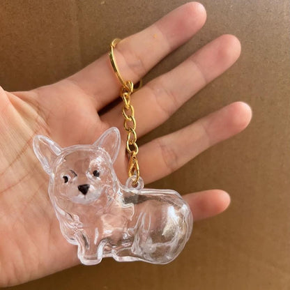 Dog Hair Collection Pendant Hair Storage Box Charm Pet Cute Keychains Clear Plastic Pet Hair Capsule Souvenirs DIY Gifts
