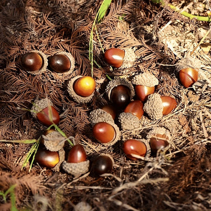 Realistic Artificial Acorns | Mixed Brown Tones Decor for DIY Crafts, Thanksgiving Halloween Christmas Home Party Decorations