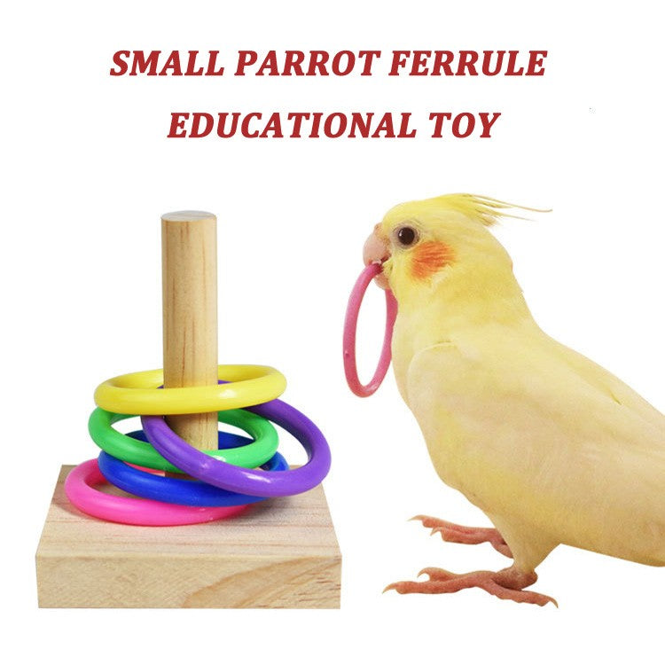 Conjunto de Brinquedos de Treinamento para Pássaros, Quebra-cabeça de Blocos de Madeira para Papagaios, Anéis Plásticos Coloridos, Brinquedo de Mastigar para Treinamento de Inteligência, Suprimentos para Pássaros