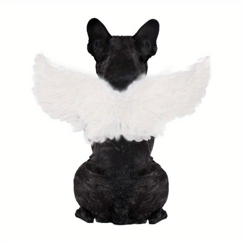 Fantasia de Halloween para Pets Asa de Anjo e Diabo Preta e Branca para Cachorro Gato Coelho Porquinho Presente Divertido para Festa de Halloween Tema Anime B