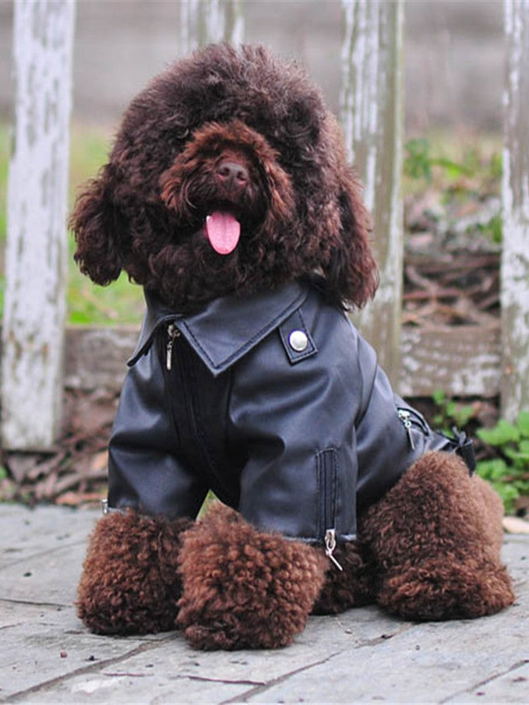 Casaco de Cachorro Padrão Águia Gloriosa Jaqueta de Couro PU Macio Impermeável para Exterior Roupas da Moda para Cães Pequenos (XXS-XXL)