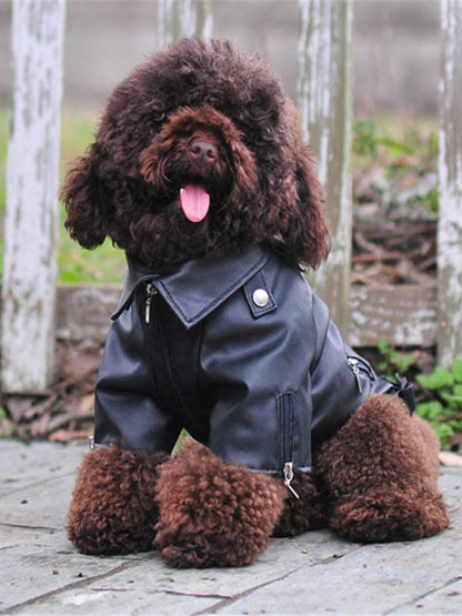 Casaco de Cachorro Padrão Águia Gloriosa Jaqueta de Couro PU Macio Impermeável para Exterior Roupas da Moda para Cães Pequenos (XXS-XXL)