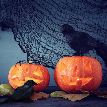 3/4/6Pcs Simulation Black Crow Animal Model Artificial Crow Black Bird Raven Home Decoration Party Prop Garden Decor 20x9x6cm