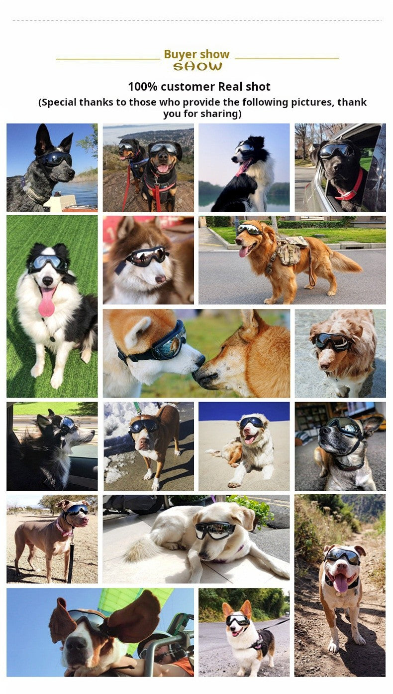 Óculos transparentes para cães de estimação à prova d'água, à prova de vento, protetor solar, resistente a raios UV para cães grandes