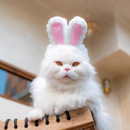 Urso Fofo Coelho Capuz Acessórios para Cães e Gatos de Estimação Cosplay Chapéu de Gato Inverno Lindo Ano Novo Gorro para Filhotes Veludo Macio Suprimentos para Animais de Estimação