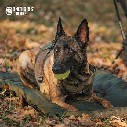 OneTigris Tapetes Portáteis para Cães, Colchão Lavável Antiderrapante para Camas de Cachorro, Cama Impermeável para Animais de Estimação para Ambientes Externos