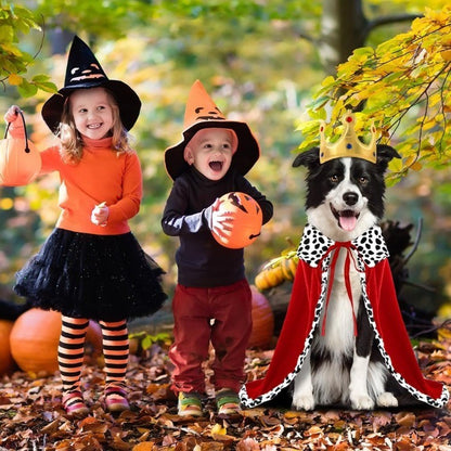 Fantasia de Capa de Rei de Cachorro de Halloween, Adorável e Engraçada, com Coroa, Capa de Rei Ajustável para Cães Grandes, Gatos, Suprimentos para Festas de Cosplay