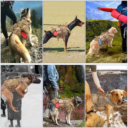 Colete Tático Militar para Cães, Sem Puxão, para Cães de Médio e Grande Porte, Treinamento, Caminhada, Colete Molle para Cães com Bolsos