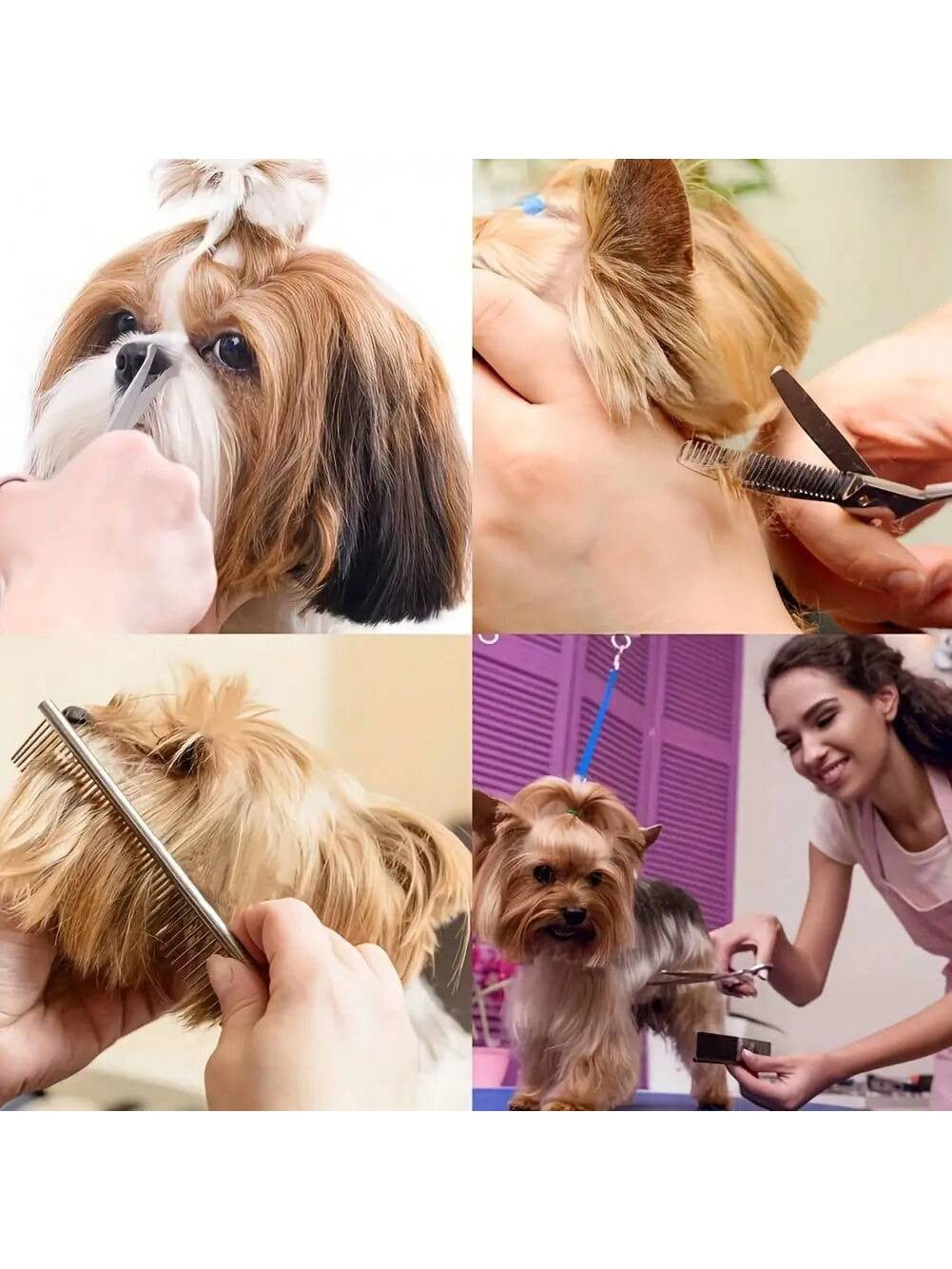 Conjunto de 5 Tesouras Profissionais de Estética para Animais de Estimação - Essencial para Animais de Estimação, Apenas para Móveis, Caixa de Armazenamento Preta