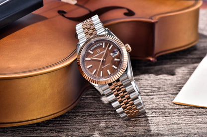 PAGANI DESIGN Men's Watches 2025 New Enamel Dial DD36 Automatic Watch Men Business Waterproof Mechanical Wristwatch For Men Gift