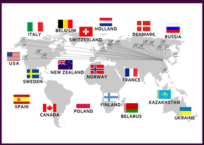 H Han Queen Spring Chiffon Simple Office Lady Blouse Female Shirt Bow Tops Long Sleeve Casual Korean OL Loose Blouses Women