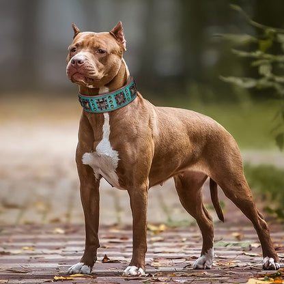Coleira Legal Com Espinhos Para Cães De Porte Médio E Grande, Couro Genuíno, Pitbull, Bulldog, Acessórios Ajustáveis Para Animais De Estimação, Coleiras, Colar