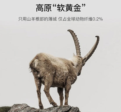 Autumn Winter Cute Hat Knitted 100% Cashmere Wool Hat Cat Ears Thickened Warm Ear Protection Knitted Beanie