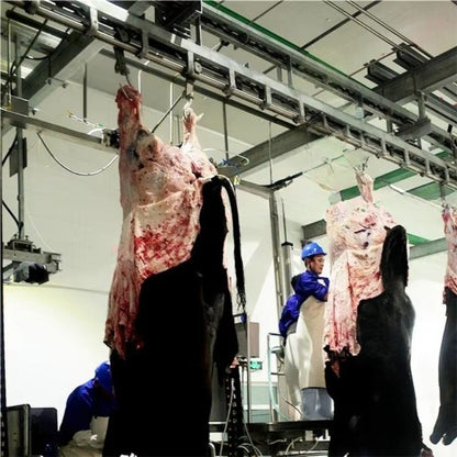 Modern Design Halal Cattle Abattoir Dressing Line Plant Butcher Machinery Beef Slaughterhouse Equipment Cow Slaughter Machine