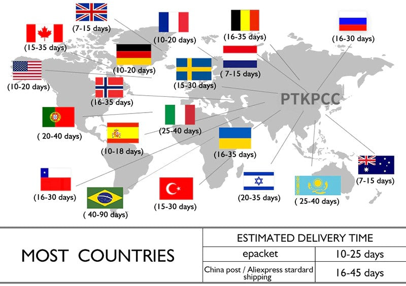 Chiffon Floral Maxi Summer Skirt Women Long High Waist Holiday Dance Skirt Elegant Beach Boho Hot Sale Lady Vintage Girl Fairy