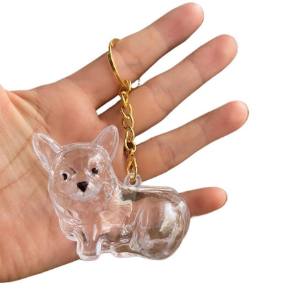 Dog Hair Collection Pendant Hair Storage Box Charm Pet Cute Keychains Clear Plastic Pet Hair Capsule Souvenirs DIY Gifts