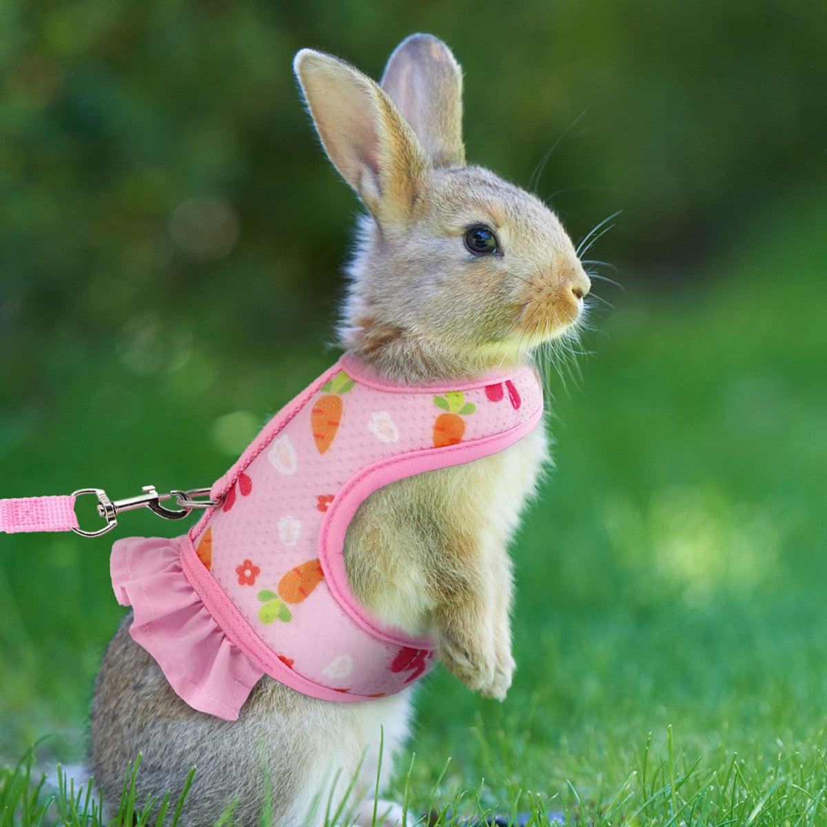 Um conjunto de arnês de peito universal para coelhos de estimação com estampa fofa de rabanete e coleira de tração para uso externo