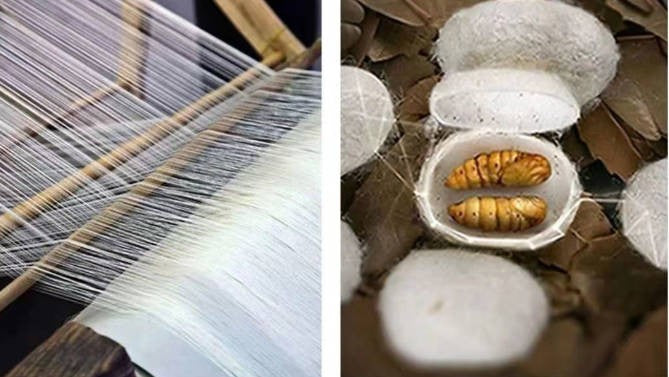 High end  Mulberry Silk Men Short Sleeve Business Shirt Wrinkle Resistant Button Invisible Top Elastic Luxurious Men Shirts