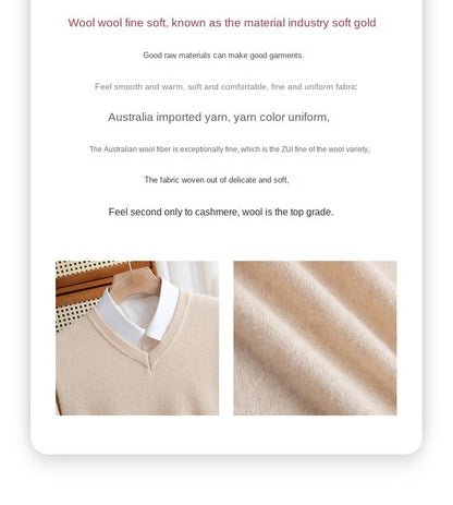 2025 Men's 100% Merino Wool Cashmere V-neck Sweater Pullover Smart Casual Basic Long Sleeve Knitwear Clothes Tops Autumn Winter