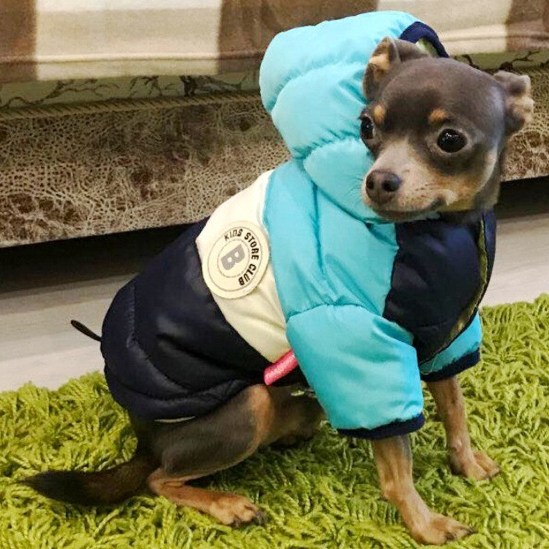 Casaco Acolchoado de Inverno para Cães, Jaqueta de Cachorro Quente e Macia, Roupas Fashion para Filhotes, Casaco Fofo para Gatos, Roupas para Pets, Roupas para Bulldog Francês
