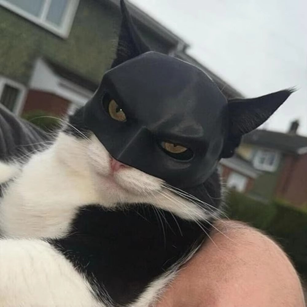 Máscara de Gato Preto Vingador Chapéu de Fantasia de Halloween com Orelhas para Animais de Estimação Acessórios Engraçados para Fotos de Festa