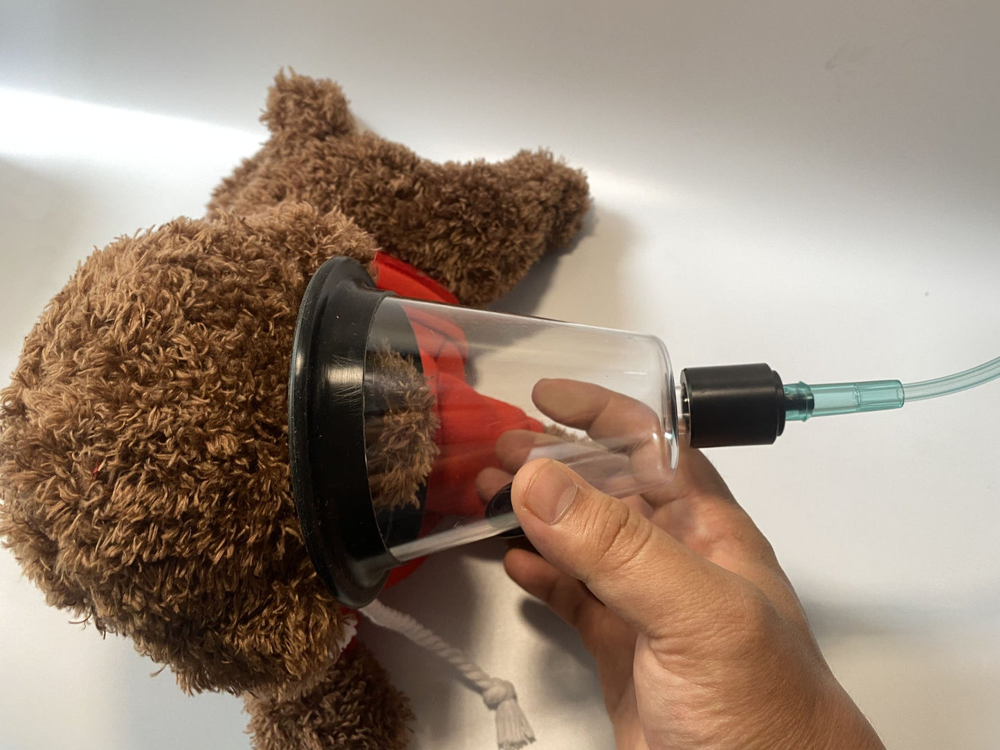 Máscara de oxigênio para cães de estimação, inalação de oxigênio para cães e gatos, experimento de nebulização para animais de estimação, clínica de inalação de oxigênio para animais, primeiros socorros