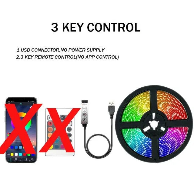 RGB LED Strip Light 5050 Bluetooth APP IR Remote Control USB 1M 2M 3M 4M 5M 10M 15M 20M 25M 30M Festival Deco Backlight For Home