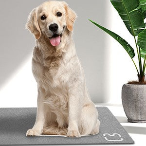 Tapete de Banho de Pedra Diatomácea Tapete de Banho de Terra Diatomácea Super Absorvente Antiderrapante 3,5MM de Espessura Tapete de Banho para Chão de Banheira