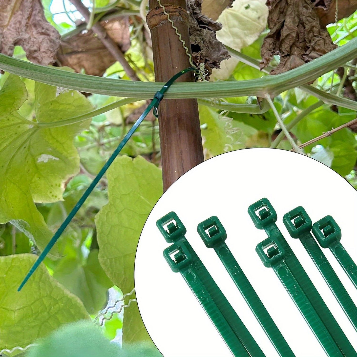 Reusable Adjustable Plastic Plant Cable Ties for Garden Vines, Trees, and Shrubs Support, Locking Nylon Zipper Organizer Tools