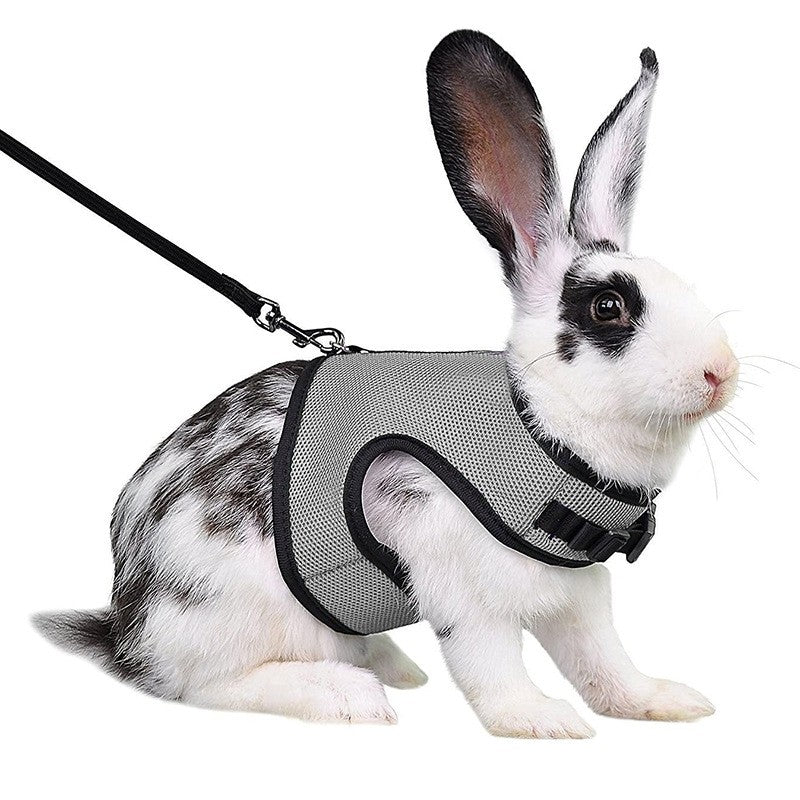 Conjunto de coleira e colete para coelhos, colete respirável para coelhos, furões, porquinhos-da-índia, esquilos, coleira macia e ajustável para animais de estimação pequenos