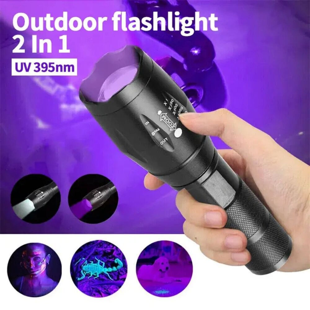 2-in-1 Type C Rechargeable UV Flashlight Torch Light 395nm Black Light Portable Ultraviolet Light Pets Blacklight Uv Flashlights