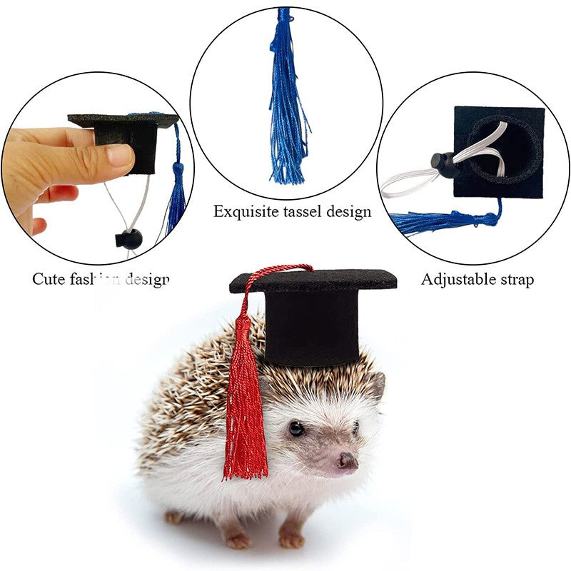 Chapéu de Formatura Pequeno Animal Mini Chapéu de Bacharel com Borla Boné de Estimação Fofo Gravata Borboleta para Gatinho Hamster Acessório de Fantasia para Fotos