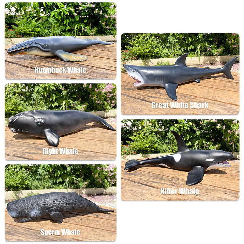 Grandes Animais Marinhos Baleia Jubarte Golfinho Assassino Baleia Azul Agite Cachalote Modelo Bonecos de Ação Tartaruga Marinha Pinguim Brinquedos Educacionais