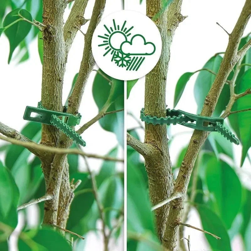 Reusable Adjustable Plastic Plant Cable Ties for Garden Vines, Trees, and Shrubs Support, Locking Nylon Zipper Organizer Tools