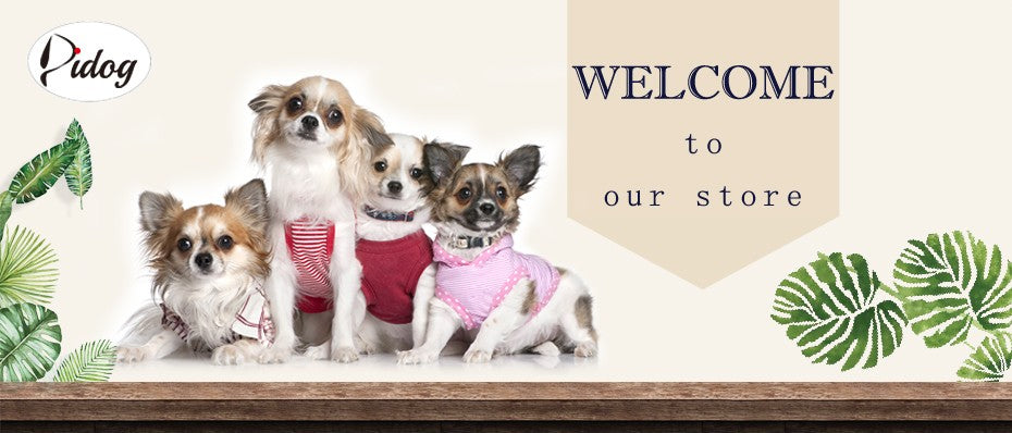 Conjunto de Coleira e Peitoral Respirável para Cães Peitoral de Pele para Cães Quente de Inverno Colete Corda para Passeio de Animais com Saco de Lixo para Cães Pequenos e Médios