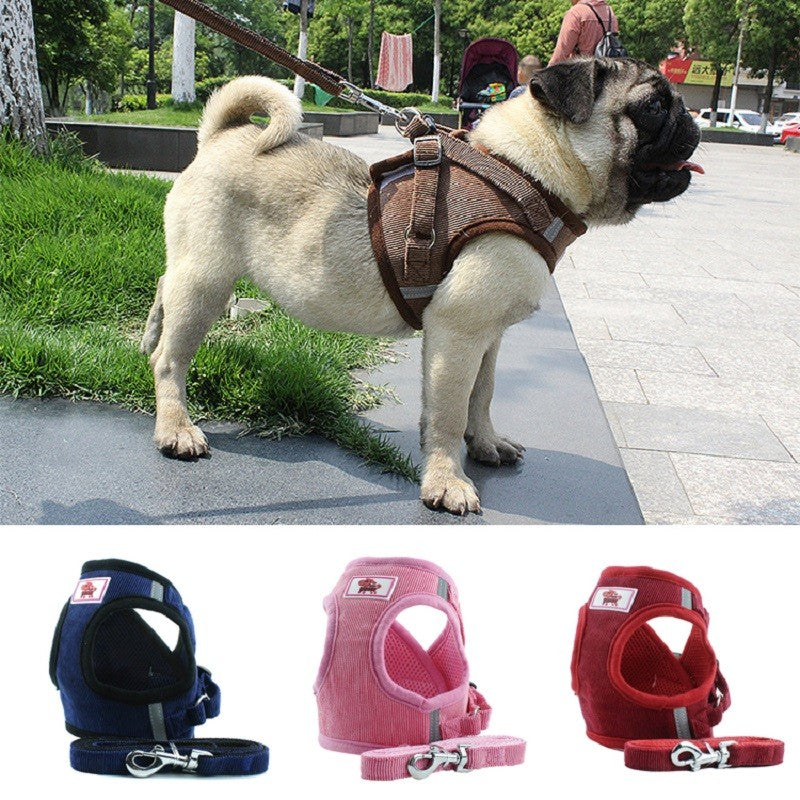 Colete Respirável de Nylon para Cães, Arnês Ajustável e Conjunto de Coleira para Cães Pequenos e Gatos, Coleira Refletiva para Filhotes