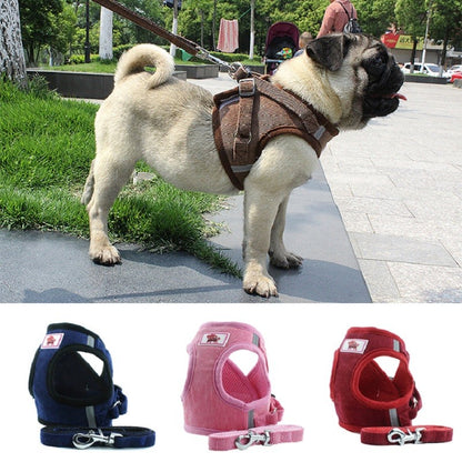 Colete Respirável de Nylon para Cães, Arnês Ajustável e Conjunto de Coleira para Cães Pequenos e Gatos, Coleira Refletiva para Filhotes