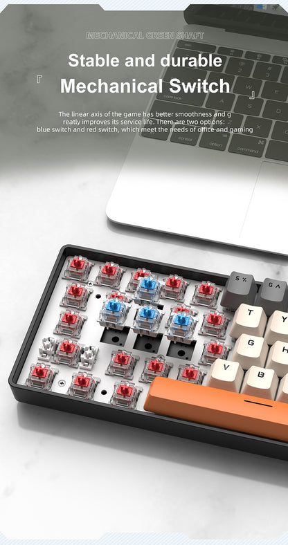 Mini Teclado Mecânico APAYADO K61, Com Fio, 61 Teclas, RGB Fantasma, Switch Mecânico Preto/Branco Vermelho/Azul para Jogos, 60% Portátil