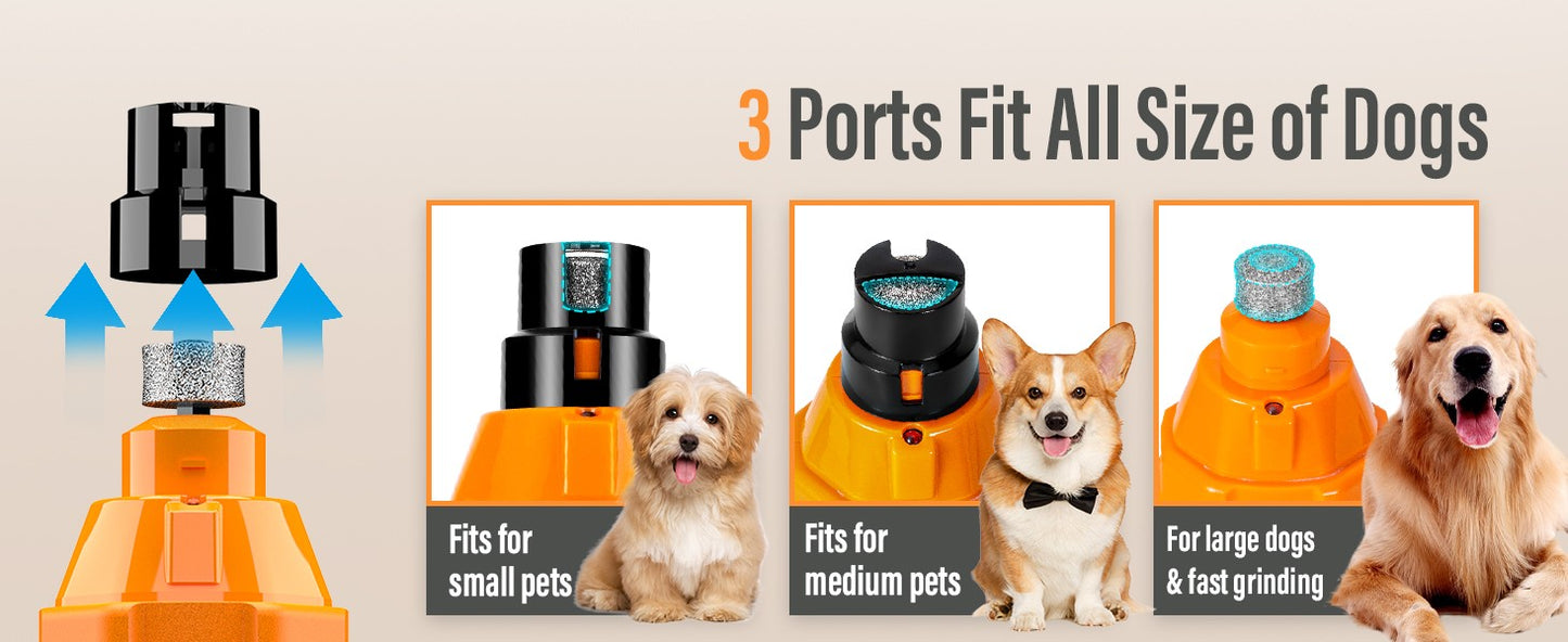 Lixadeira de unhas de cachorro com 6 velocidades Moedor de unhas para animais de estimação aprimorado Aparador de unhas elétrico para cães super silencioso Recarregável Pés indolores para limpeza