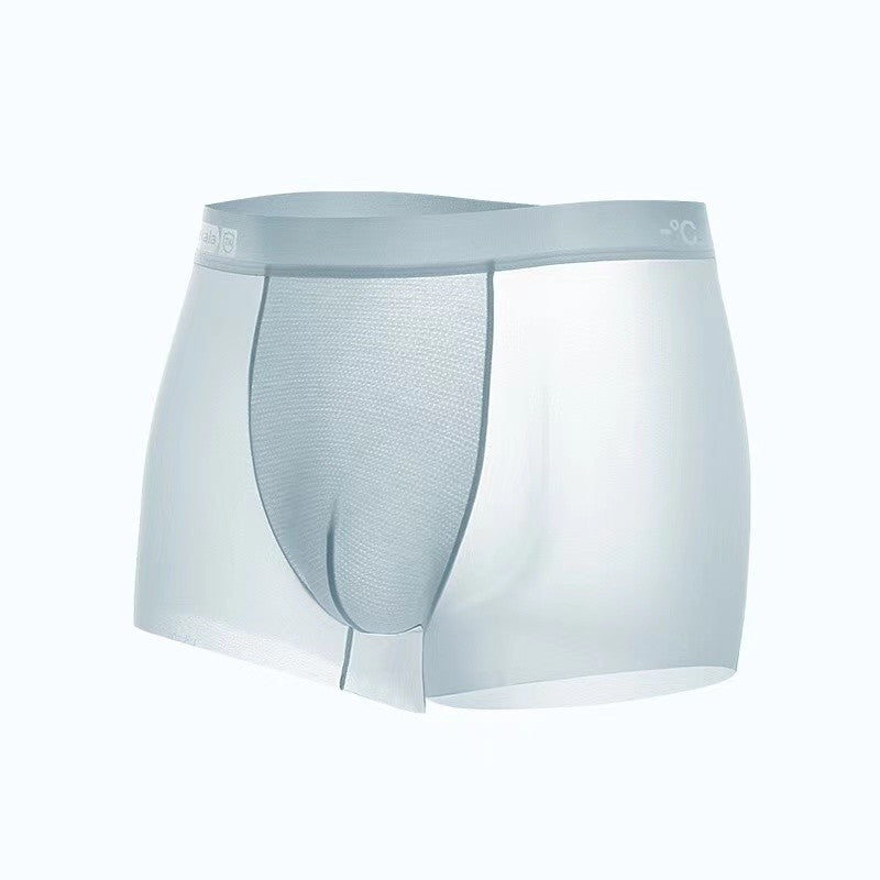 Ice Silk Men's Panties Sports Quick Drying Fashion Shorts Thin Plus Size Panties Boxer Underwear Underpants Gift Luxury