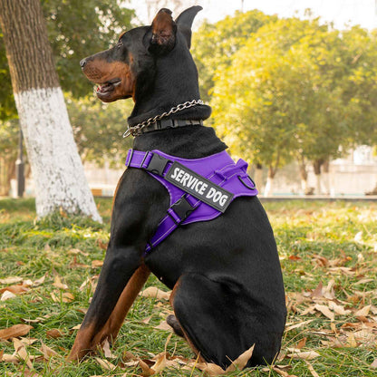 Personalized dog harness custom name tag doberman pinscher breathable adjustable pet harness suitable for medium and large dogs